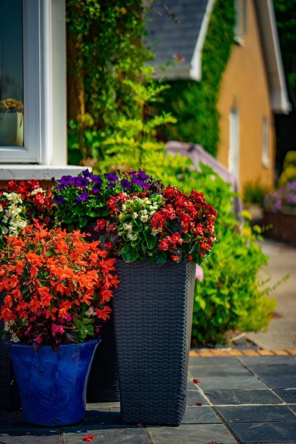 Park Lodge Accommodation Abbeyfeale Esterno foto